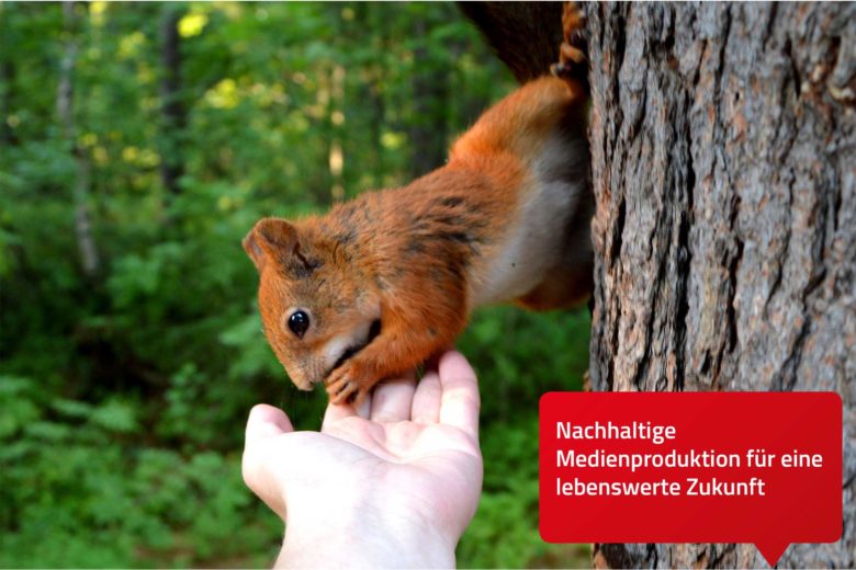 ABT Mediengruppe - rotes Eichhörnchen Nagetiere Nachhaltig drucken bei ABT Print und Medien